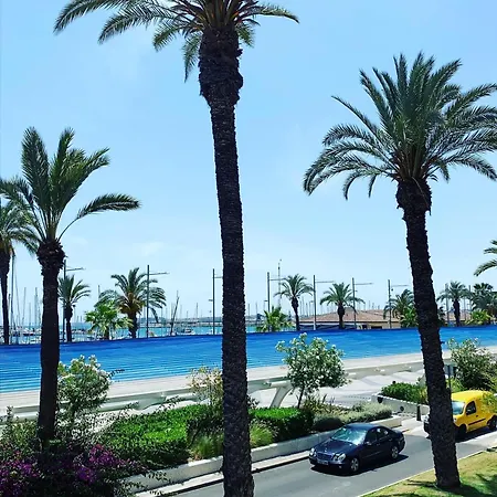 Palmeras Puerto Torrevieja