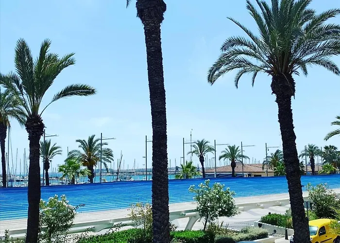 Palmeras Puerto Torrevieja